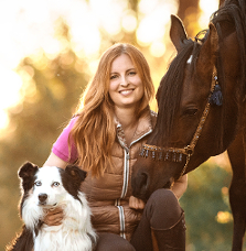 Hundeversicherung